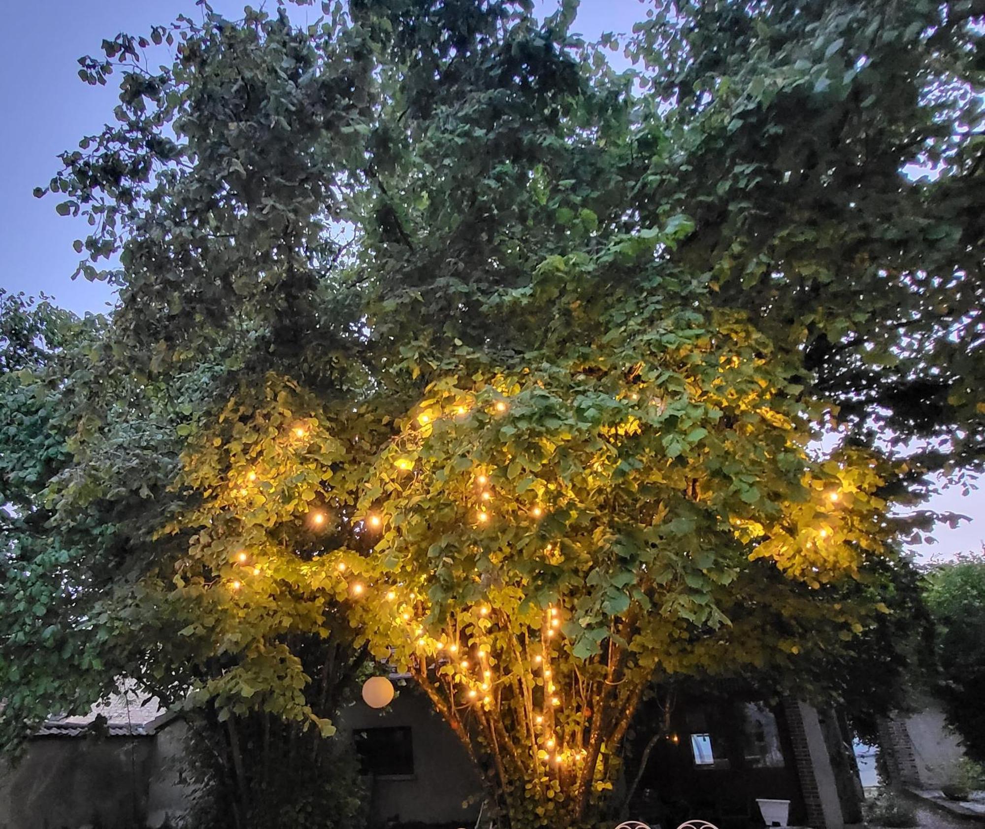 Bed and Breakfast La Demeure D'Othe Sormery Экстерьер фото