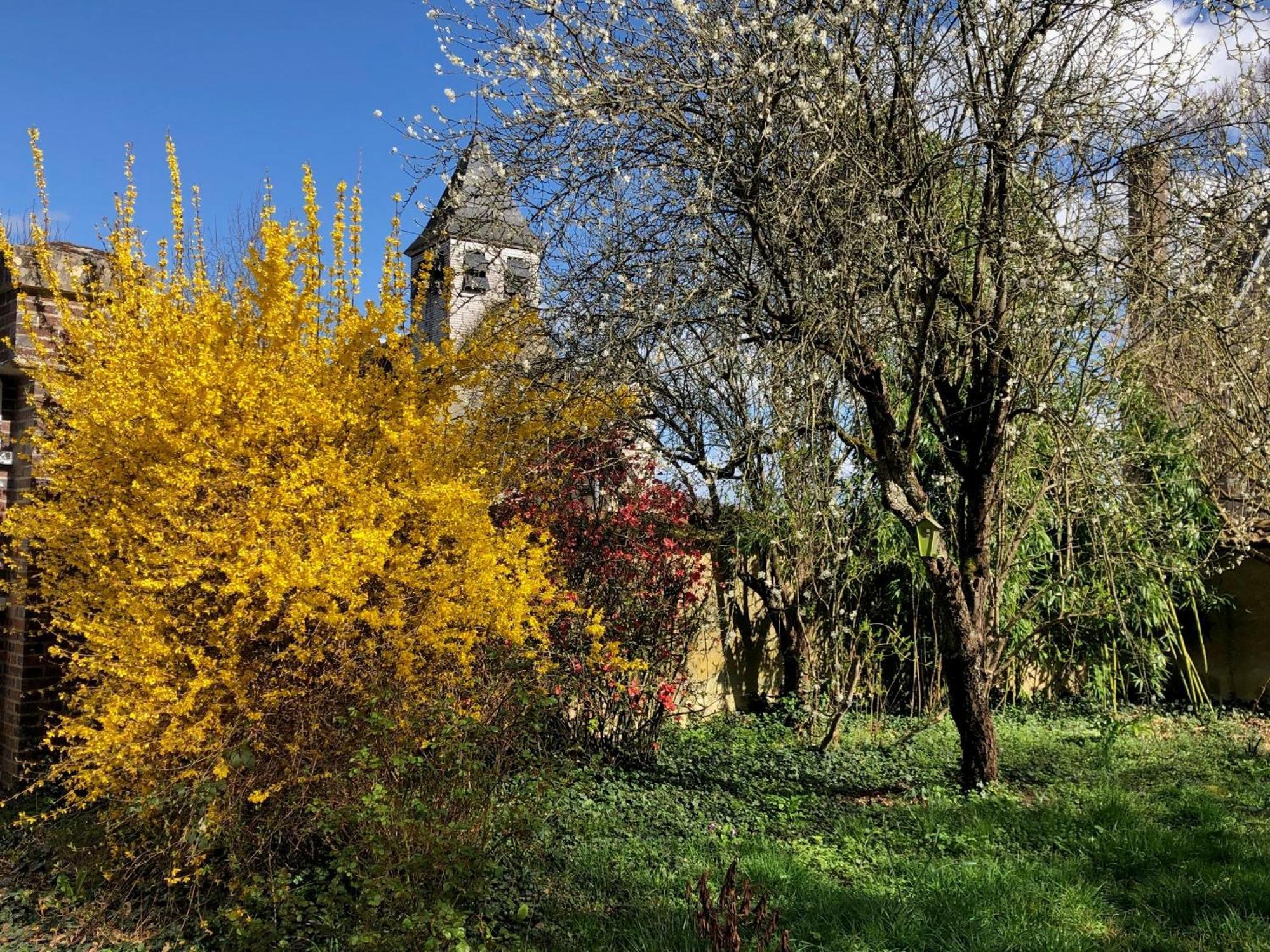 Bed and Breakfast La Demeure D'Othe Sormery Экстерьер фото